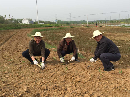 J9集团·(中国)首页