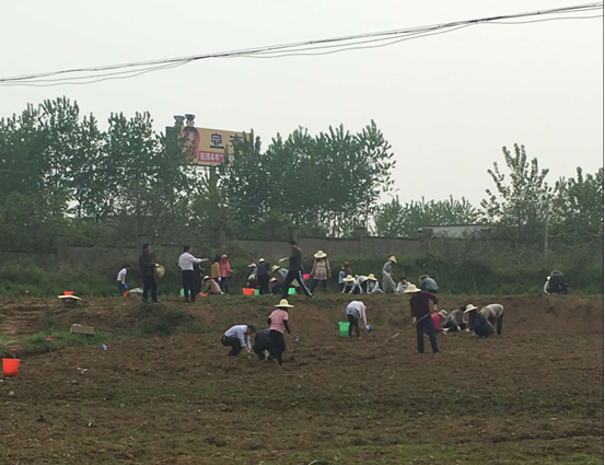 J9集团·(中国)首页