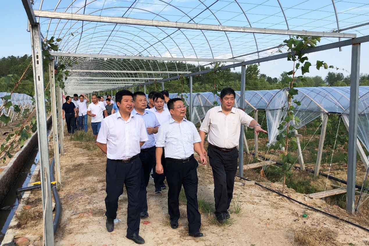 J9集团·(中国)首页