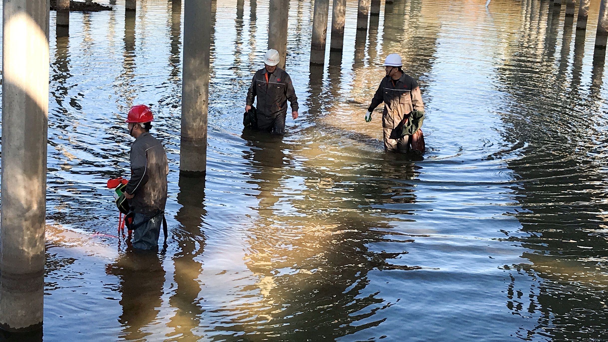 J9集团·(中国)首页